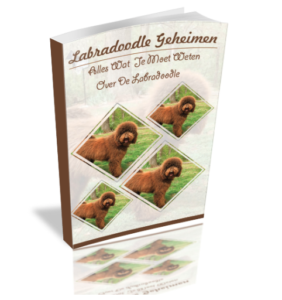 Labradoodle geheimen handboek